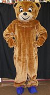 animal, bear,