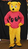 animal, bear,