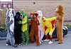 animals, lion, bear, frog, chicken, costume, hire,
